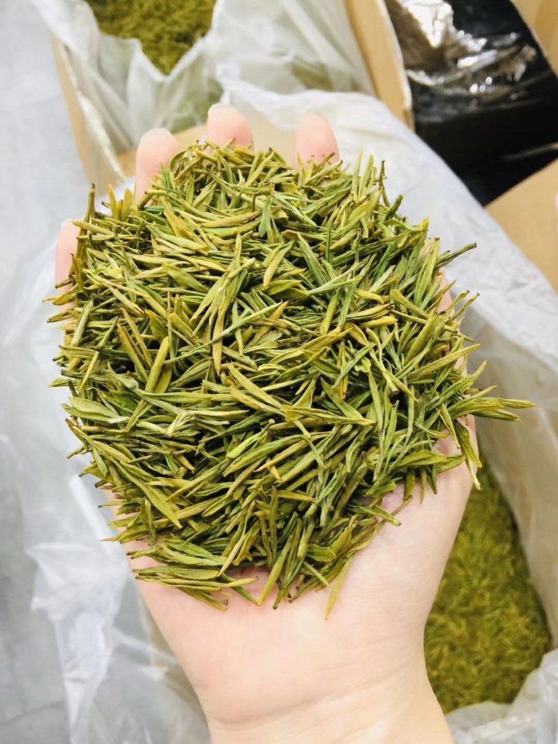安吉白茶产地批发包装安吉县