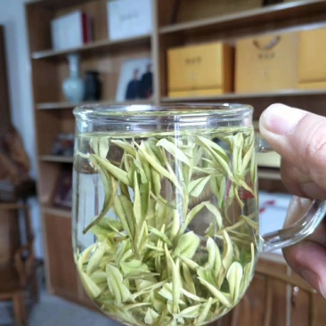 安吉白茶产地批发包装安吉县