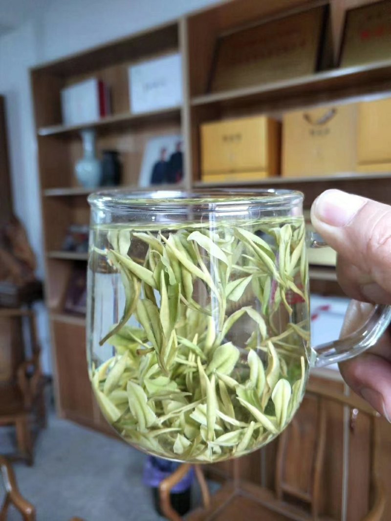 安吉白茶产地批发包装安吉县
