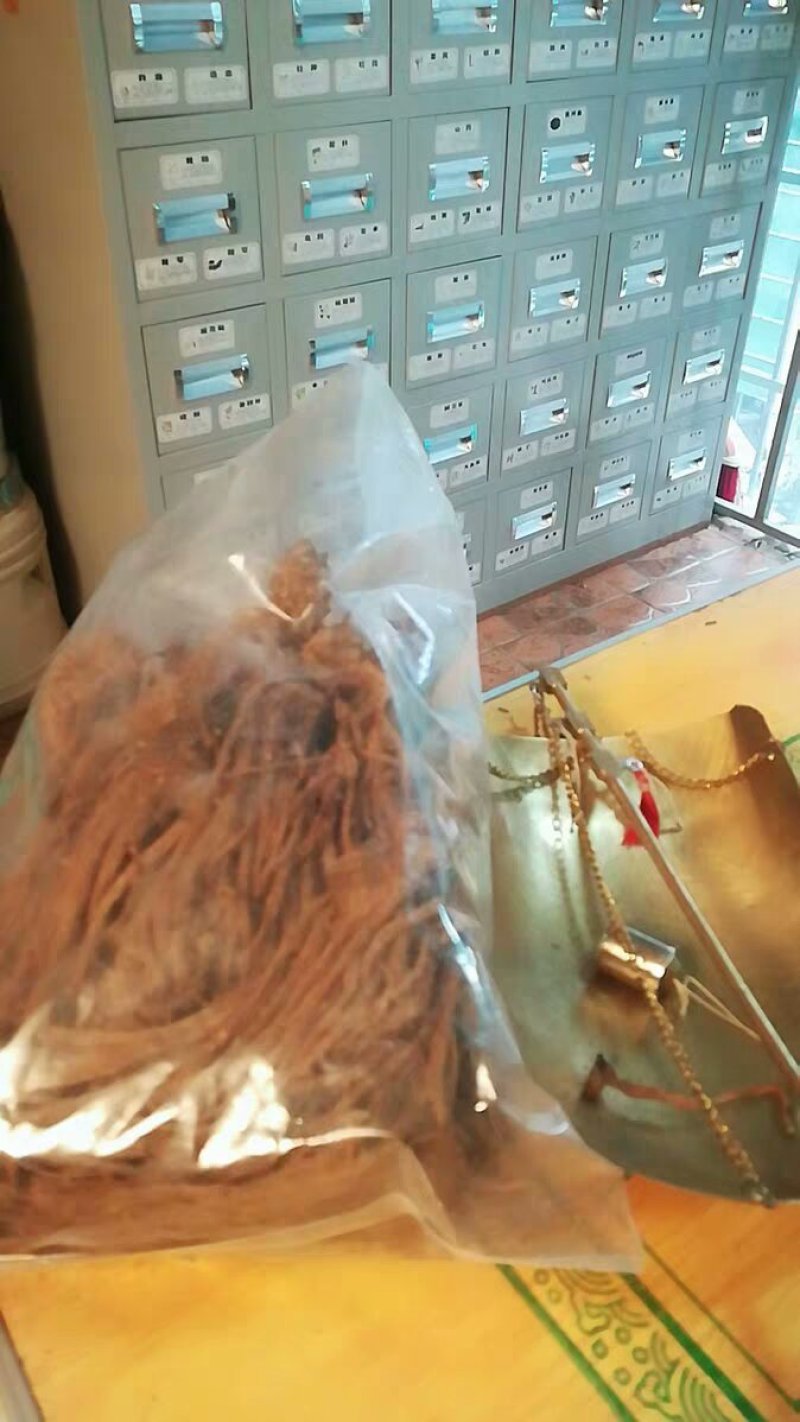 当归9成干当归个农产品中药材