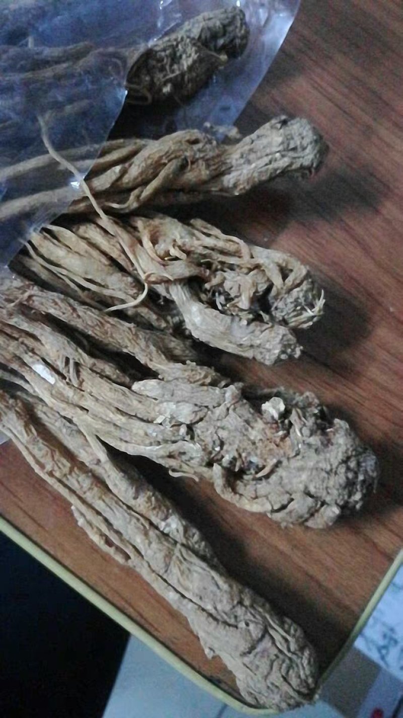 当归9成干当归个农产品中药材