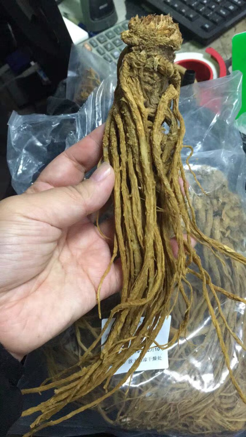 当归9成干当归个农产品中药材
