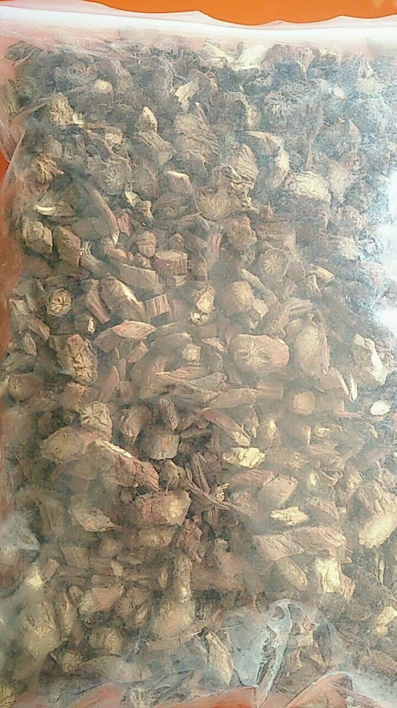 丹参红丹参丹参片中药材农产品