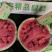8424西瓜6斤打底9成熟1茬