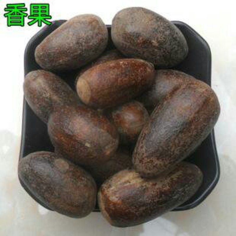 香果，常年批发供应大香果，玉果，大香果中药材，