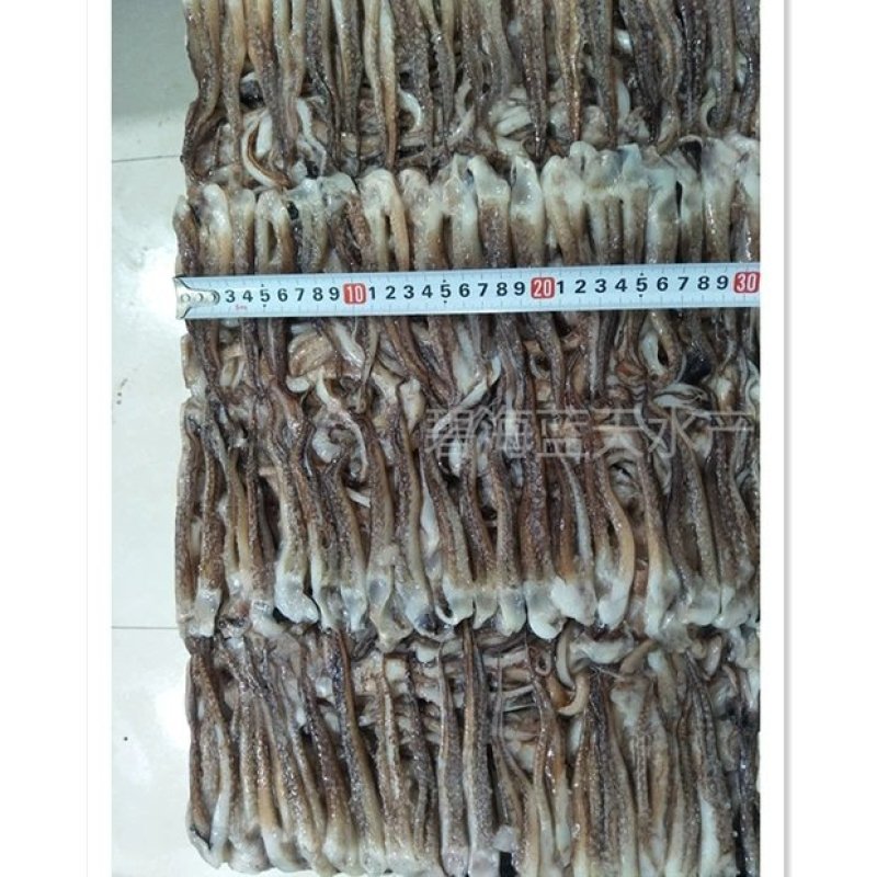 冷冻阿根廷鱿鱼须二本足大鱿鱼头鱿鱼足鱿鱼爪鱿鱼串海鲜水产