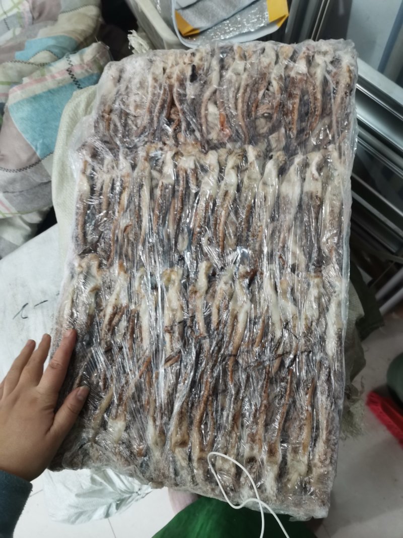 冷冻阿根廷鱿鱼须二本足大鱿鱼头鱿鱼足鱿鱼爪鱿鱼串海鲜水产