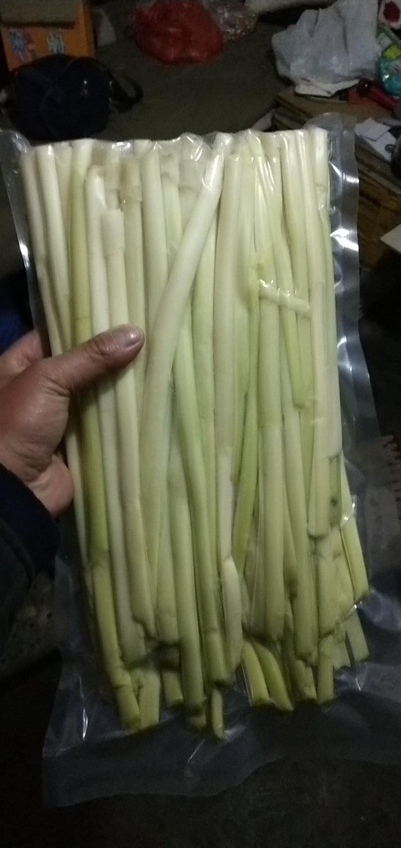 鲜蒲菜山东特产鲜蒲菜大明湖三白鲁菜代表菜