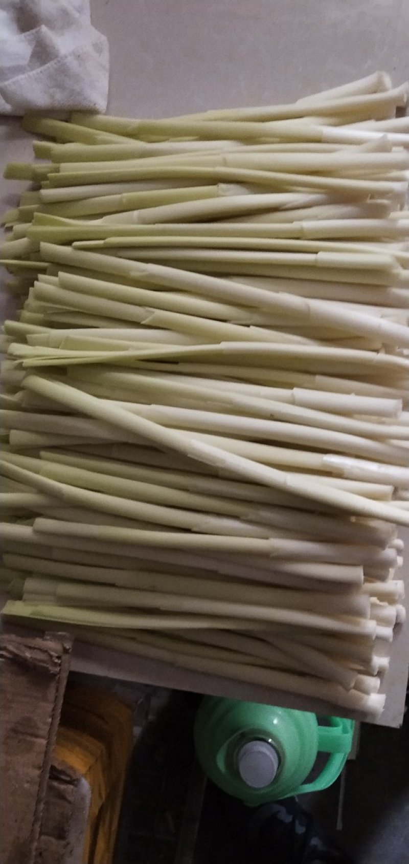 鲜蒲菜山东特产鲜蒲菜大明湖三白鲁菜代表菜