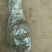脆红李子树苗50~100cm