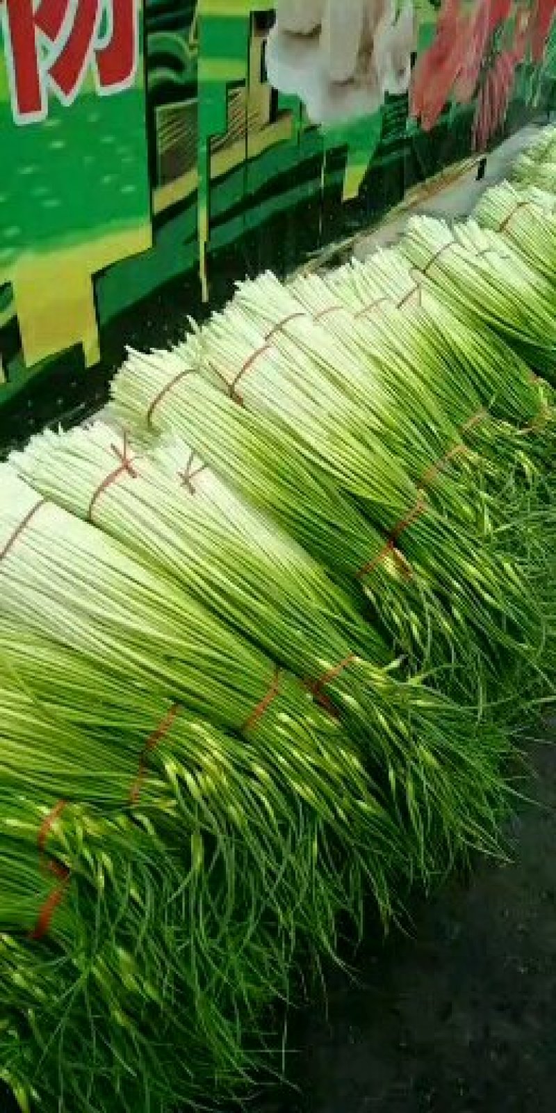 二十天以后蒜薹大量上市，要的可以联系了