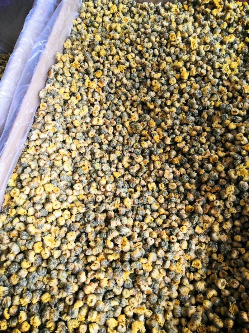 胎菊、杭白菊、胎米、甘菊！规格其全量大包邮。