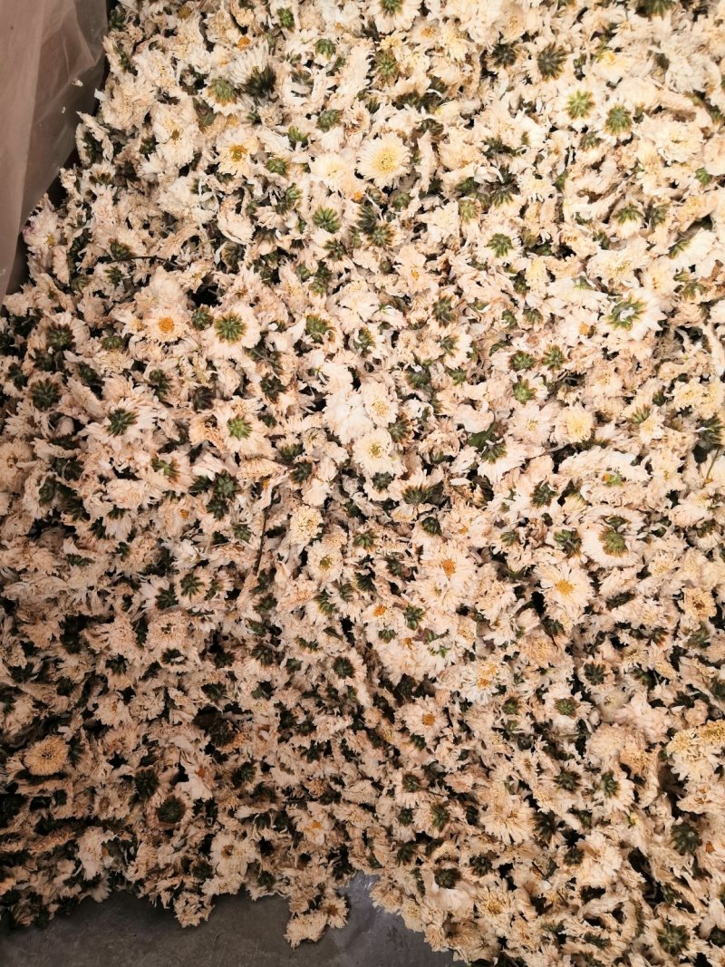 胎菊、杭白菊、胎米、甘菊！规格其全量大包邮。