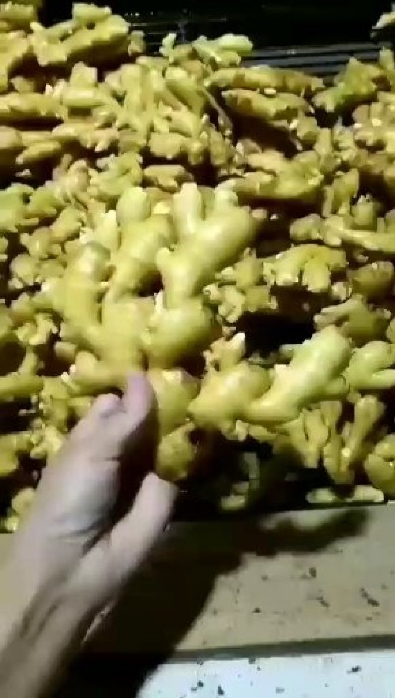 山东临沂市大姜常年大量供应，货源充足，产地大量
