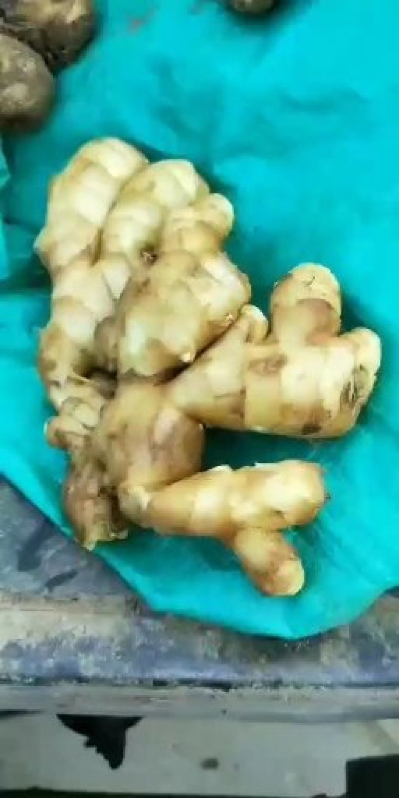 山东临沂市大姜常年大量供应，货源充足，产地大量