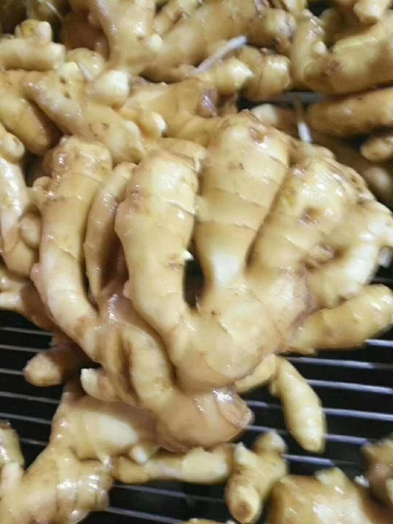 山东临沂市大姜常年大量供应，货源充足，产地大量