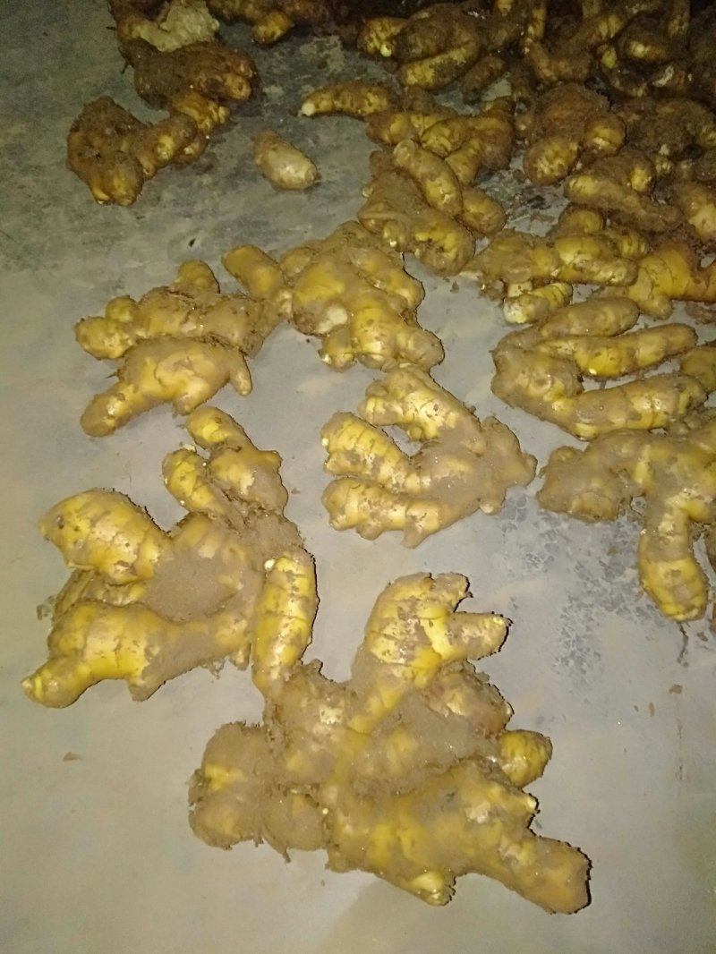 山东临沂市大姜常年大量供应，货源充足，产地大量