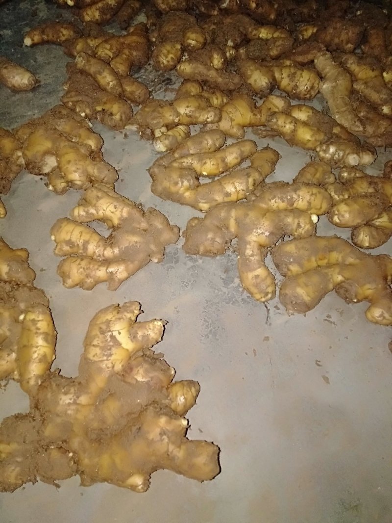 山东临沂市大姜常年大量供应，货源充足，产地大量