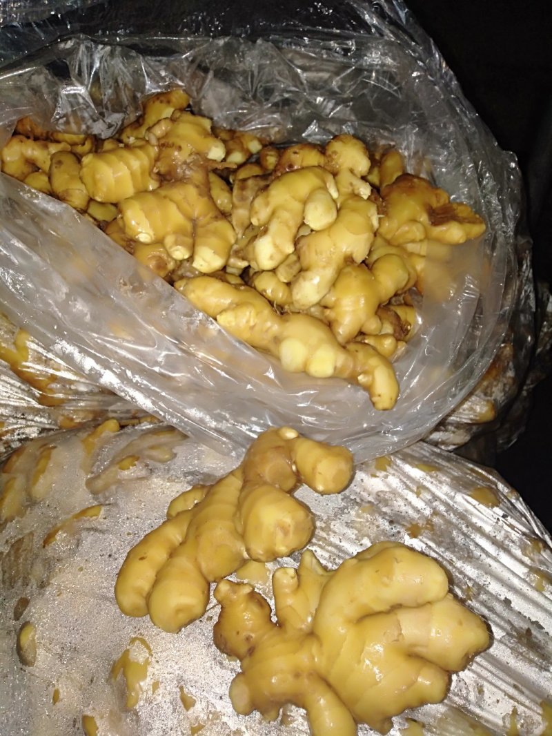 山东临沂市大姜常年大量供应，货源充足，产地大量