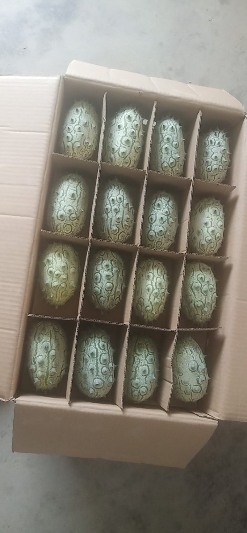 火参果，刺角瓜孕妇无糖水果