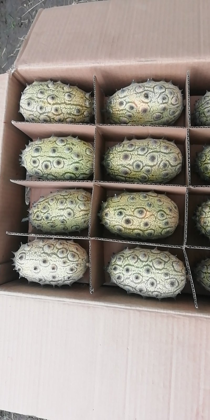 火参果，刺角瓜孕妇无糖水果