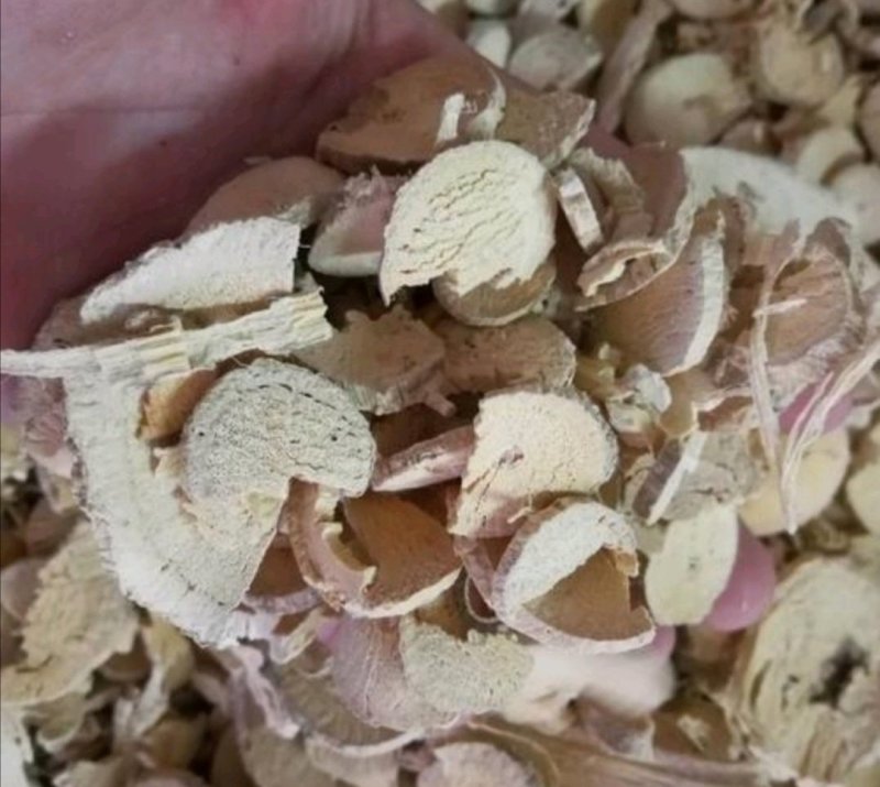 赤苍藤，道地药材，质优价实，品质保证，药典标准一公斤起批