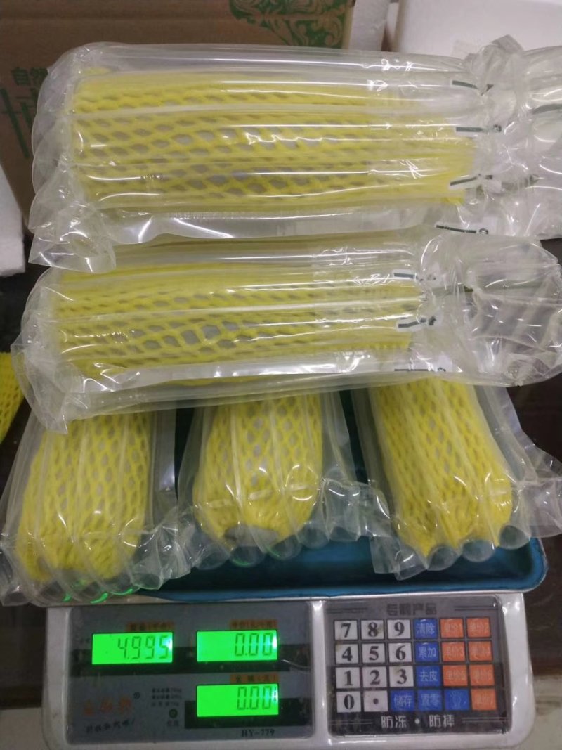莘县蔬菜瓜果第一县