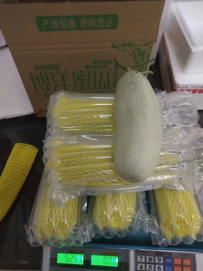 莘县蔬菜瓜果第一县