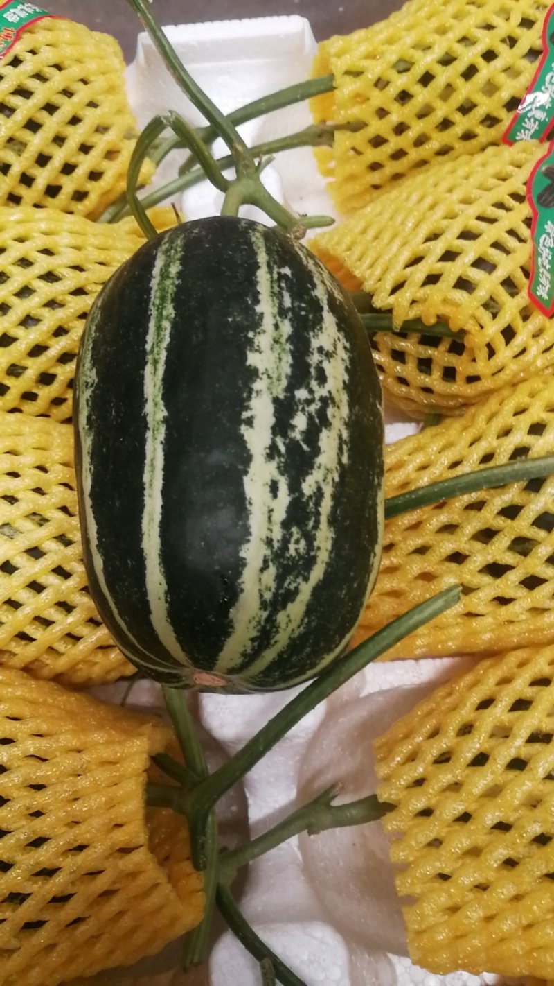 莘县蔬菜瓜果第一县