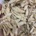 黄芪精品黄芪药食同源无硫磺熏蒸