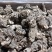 无硫当归头15头干度好，诚信经营，(可切片)