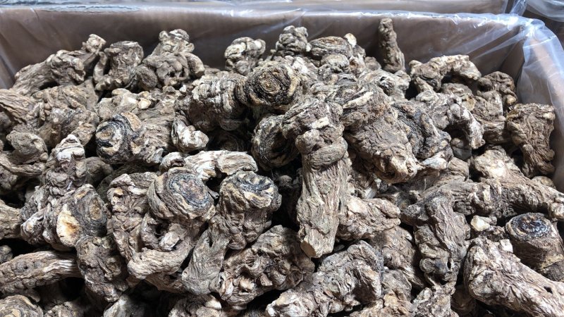 无硫当归头15头干度好，诚信经营，(可切片)