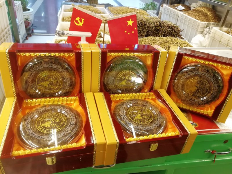 金线莲