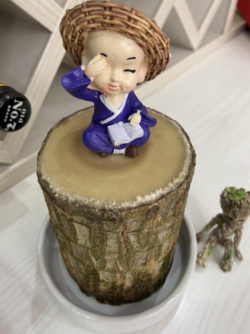 巴西木盆栽水养迷你室内桌面绿植四季常青格鲁特水培植物