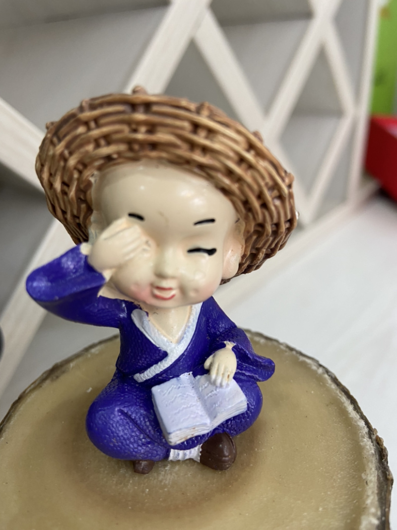 巴西木盆栽水养迷你室内桌面绿植四季常青格鲁特水培植物