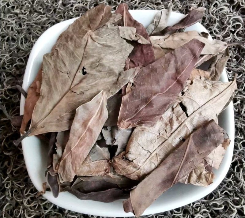 榕树叶，道地药材，质优价实，品质保证，药典标准一公斤起批