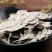 胡颓子叶道地药材，质优价实，品质保证，药典标准一公斤起批