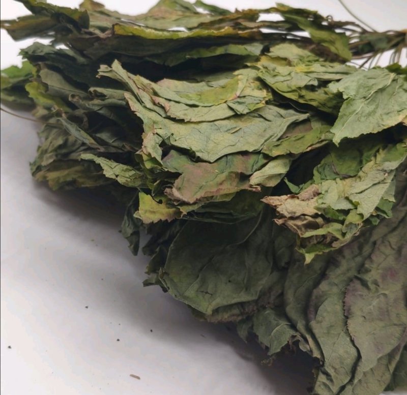 人参叶，道地药材，质优价实，品质保证，药典标准一公斤起批