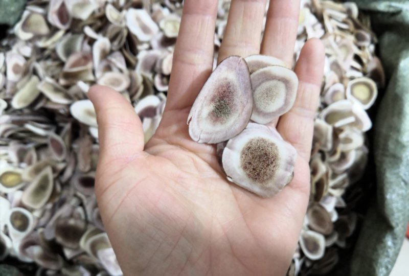 鹿角片130一斤包邮长白山鹿茸片中药材鹿角下单联系客服