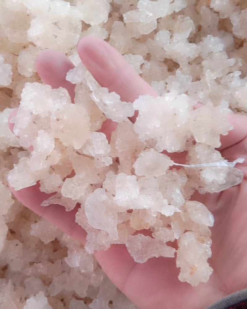 雪燕，常年批发供应各种规格雪燕，量大从优货真价实一分价格