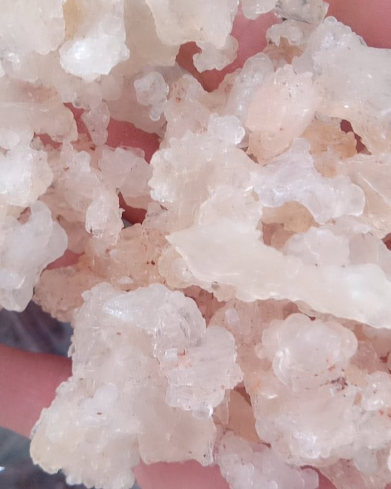 雪燕，常年批发供应各种规格雪燕，量大从优货真价实一分价格