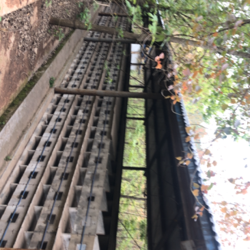 养兔养出租