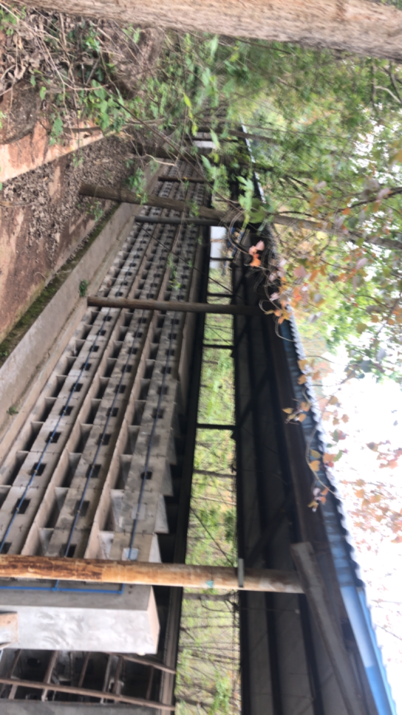 养兔养出租