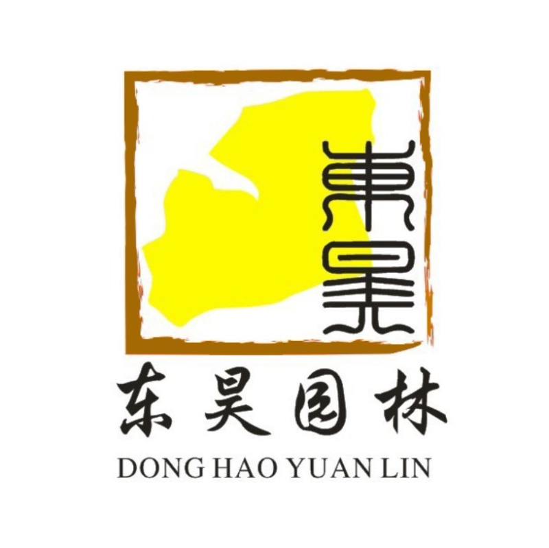 银杏果货量大零售批发质量保障一手货源诚信经营等您来电