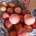 【红富士苹果】产地批发，条纹苹果全红苹果，水晶红富士苹果