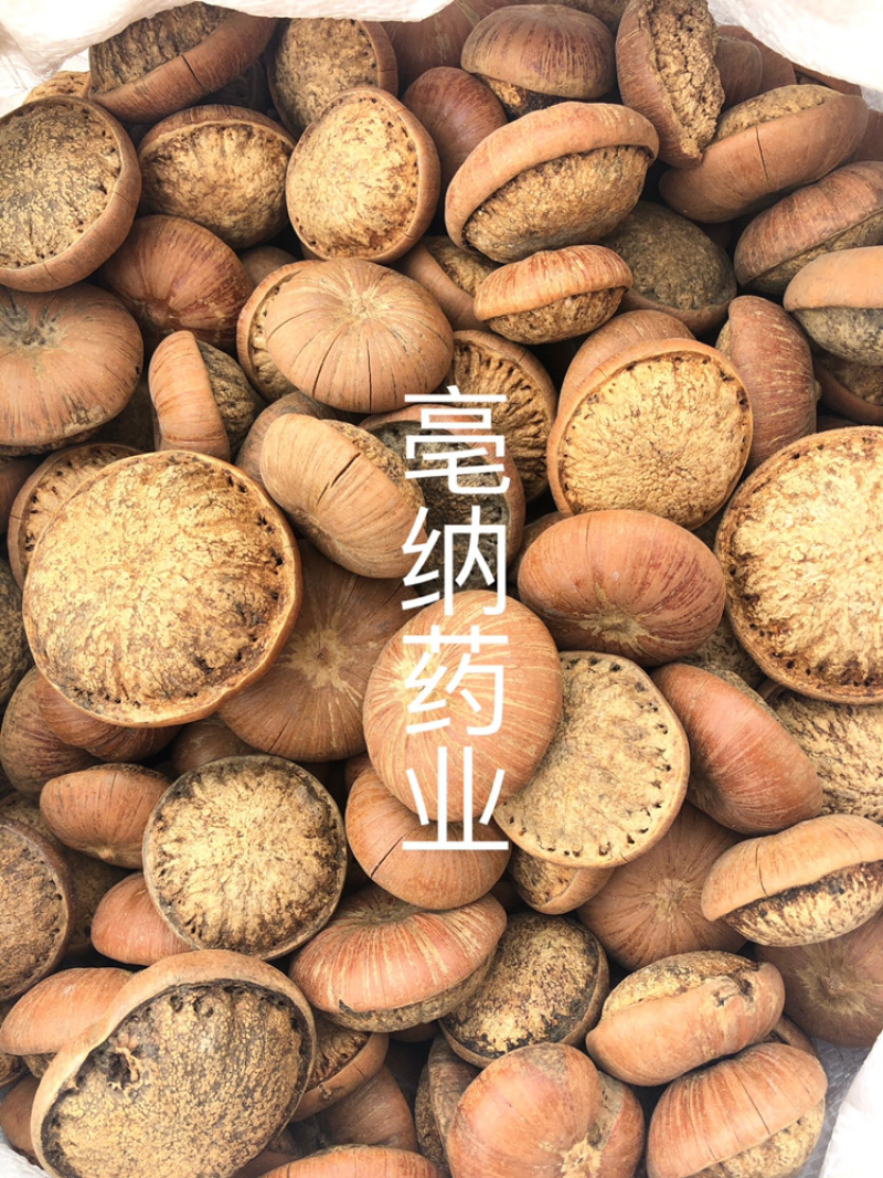 风流果中药材优质龟头子1⃣️公斤起批