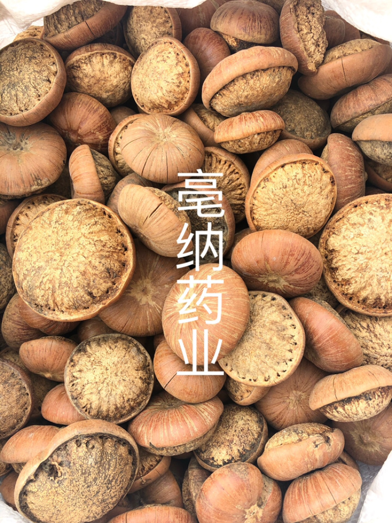 风流果中药材优质龟头子1⃣️公斤起批