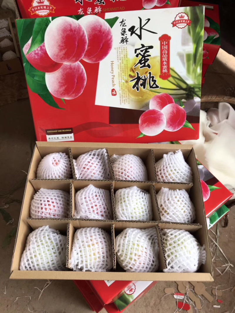 现货暖棚冬桃成都龙泉水蜜桃新鲜现摘批发视频看货好