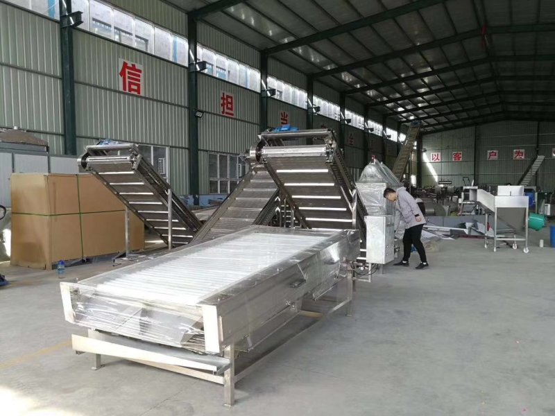 小型蒜米机山东玛丽亚机械专业设备厂家