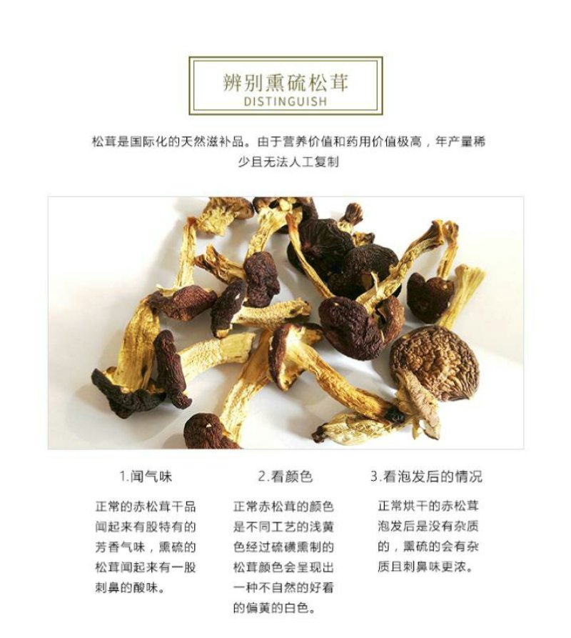 赤水村集体经济高山竹林下种植-赤松茸